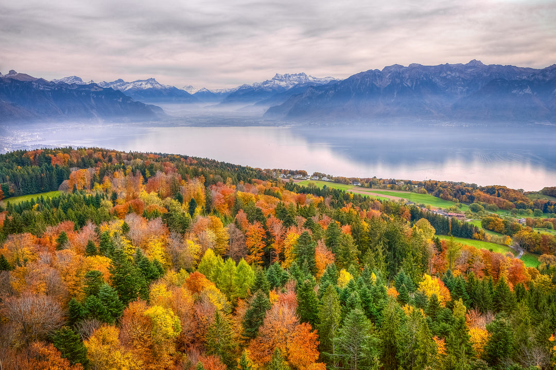 Autumn