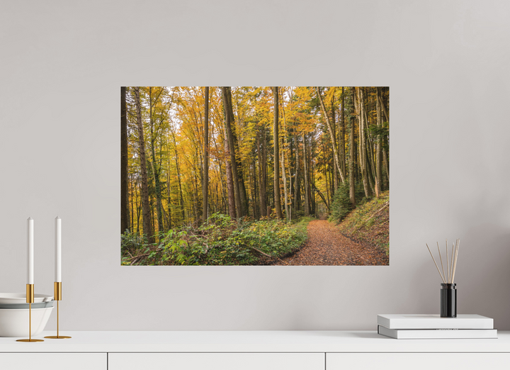 60 x 40 cm, Fuji Print Autumn Pathway