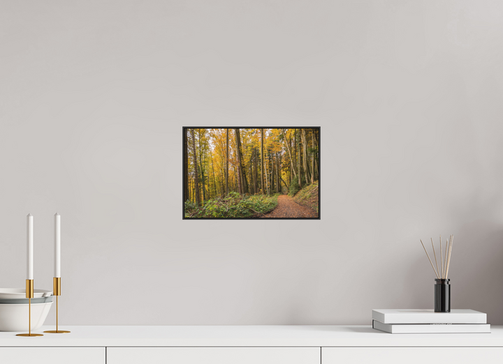 30 x 20 cm, Aluminum Floater-Framed Fuji Print on Alu-Dibond Autumn Pathway