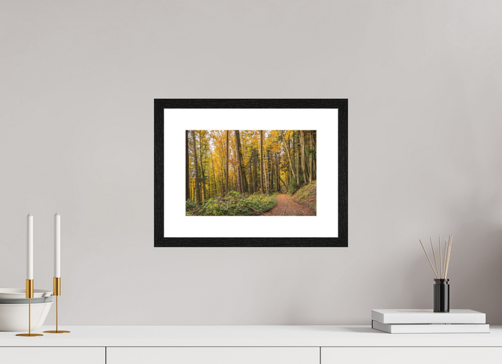 30 x 20 cm, Wood Framed Baryta Print with Passe-Partout Autumn Pathway