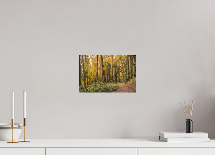 30 x 20 cm, Fuji Print Autumn Pathway
