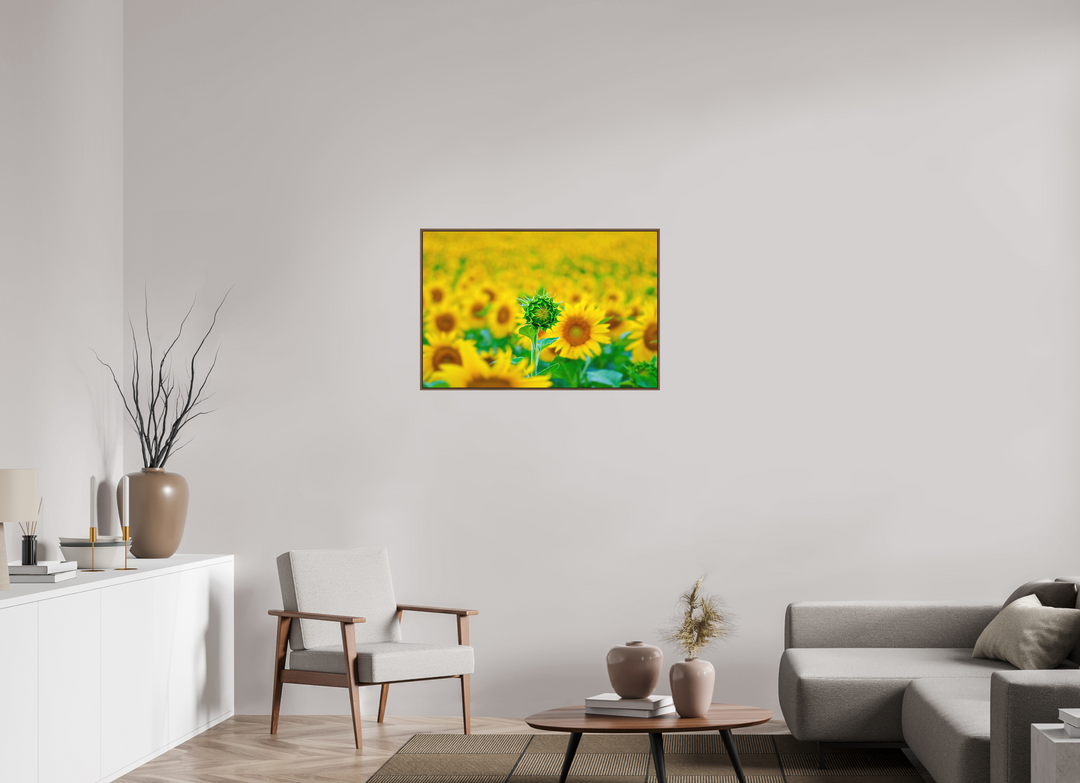 90 x 60 cm, Wood Floater-Framed Fuji Print on Alu-Dibond The Standout Sunflower