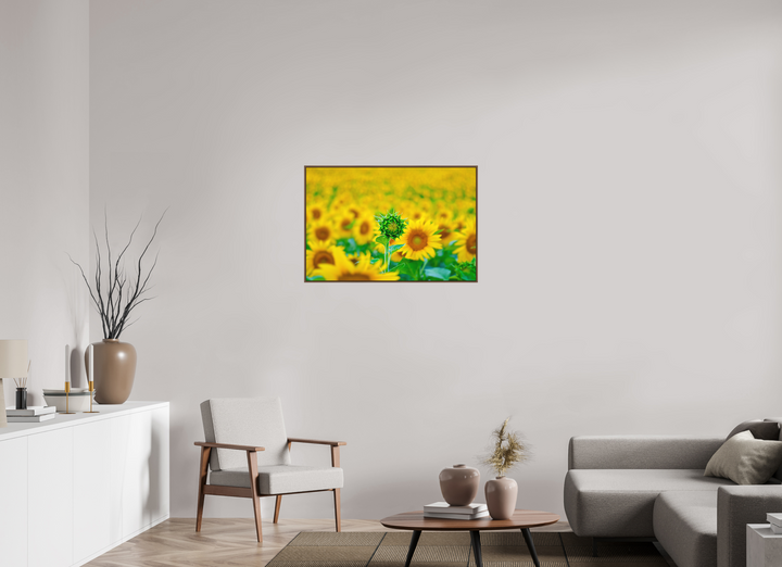 90 x 60 cm, Wood Floater-Framed Fuji Print on Alu-Dibond The Standout Sunflower
