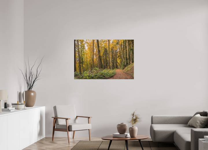 120 x 80 cm, Fuji Print Autumn Pathway