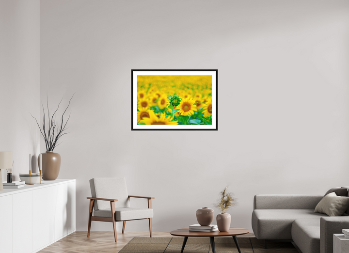 90 x 60 cm, Wood Framed Baryta Print with Passe-Partout The Standout Sunflower