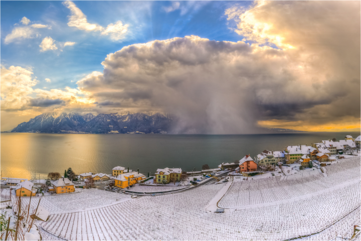 Main image Natural Show