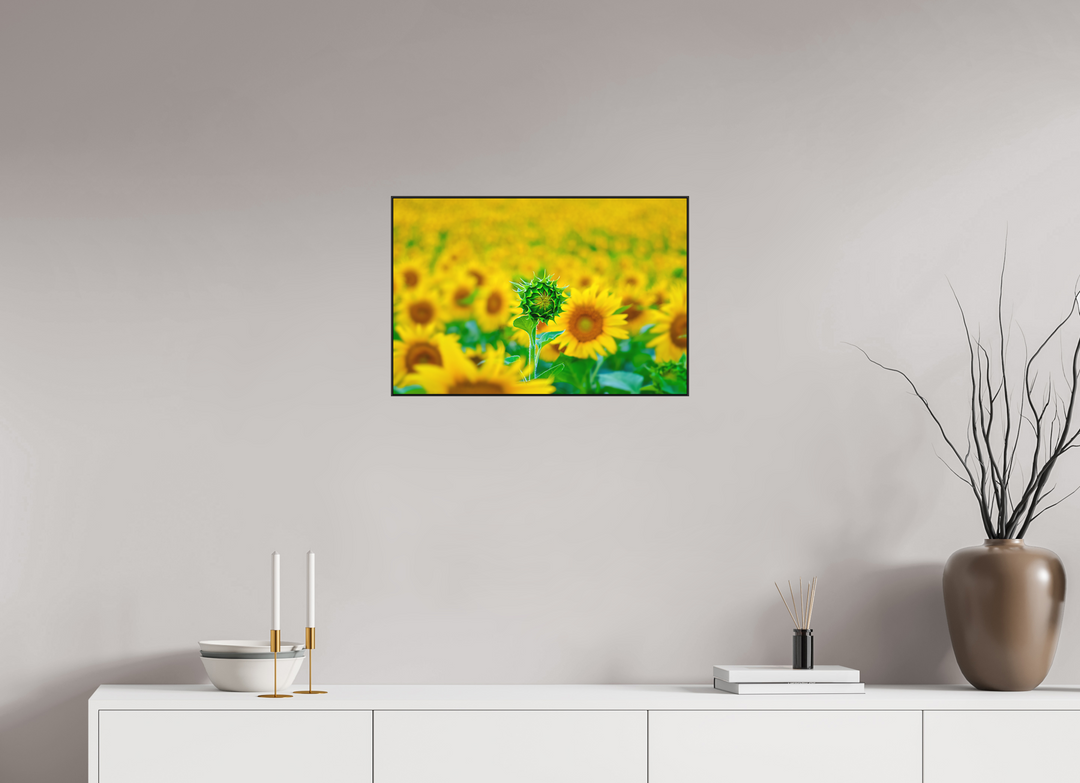60 x 40 cm, Aluminum Floater-Framed Fuji Print on Alu-Dibond The Standout Sunflower