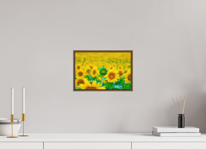 30 x 20 cm, Wood Floater-Framed Fuji Print on Alu-Dibond The Standout Sunflower
