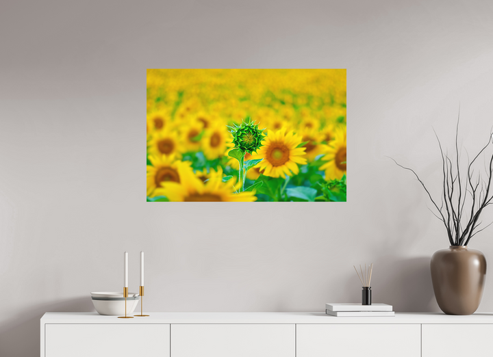 90 x 60 cm, Fuji Print The Standout Sunflower