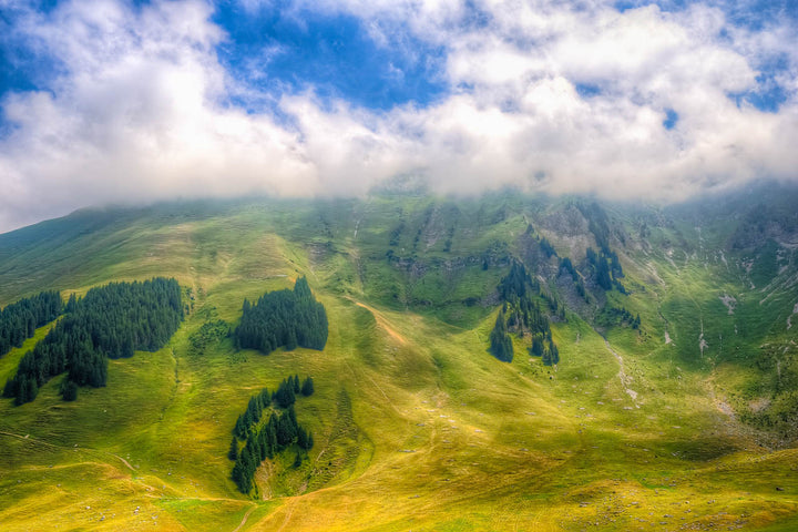Alpine Whispers: Morning Mist Over Schwarzsee Meadows