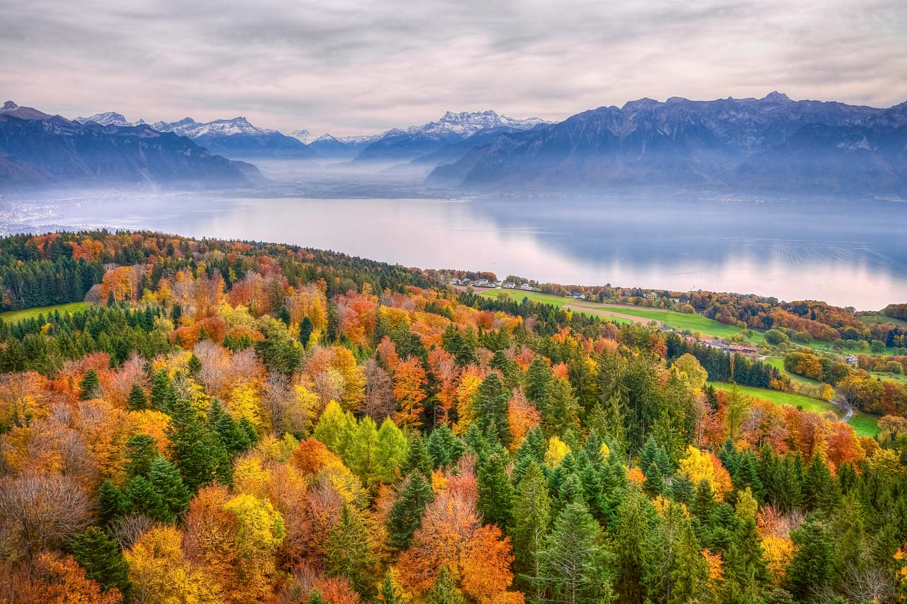 Shop Autumn/Fall Wall Art Interior Decor Print - K. Kanoun Fine