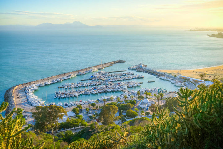 Serene Sidi Bou Said Harbor at Twilight