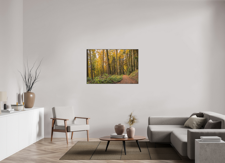 120 x 80 cm, Aluminum Floater-Framed Fuji Print on Alu-Dibond Autumn Pathway